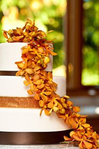 Autumn Weddings